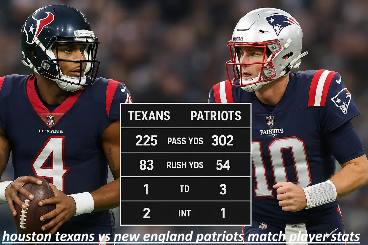 Houston Texans vs New England Patriots Match Player Stats