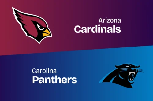 Carolina Panthers vs Arizona Cardinals Match Player Stats